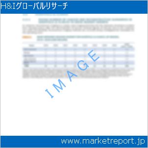 市場と産業調査レポートのイメージ